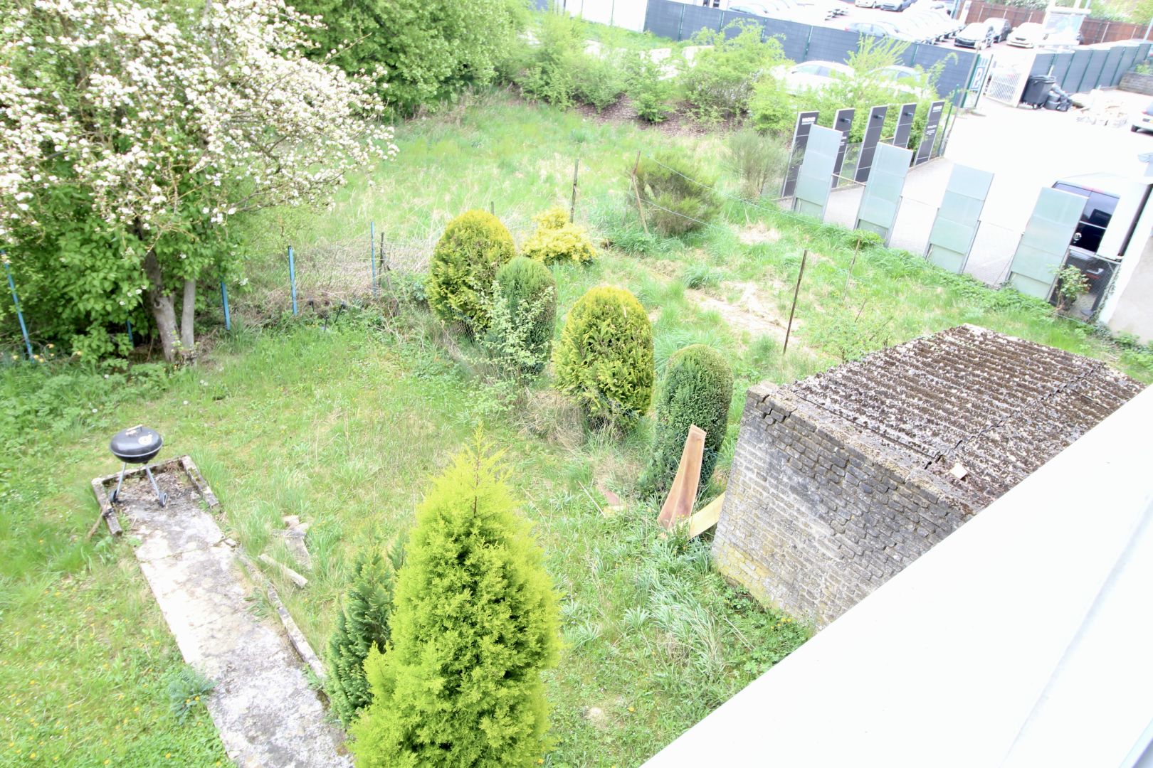 Image 8